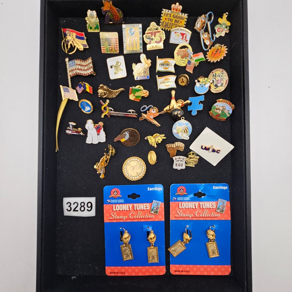 VINTAGE ENAMEL TRAVEL SOUVENIR LAPEL PIN LOT LOONEY TUNES USPS EARRINGS